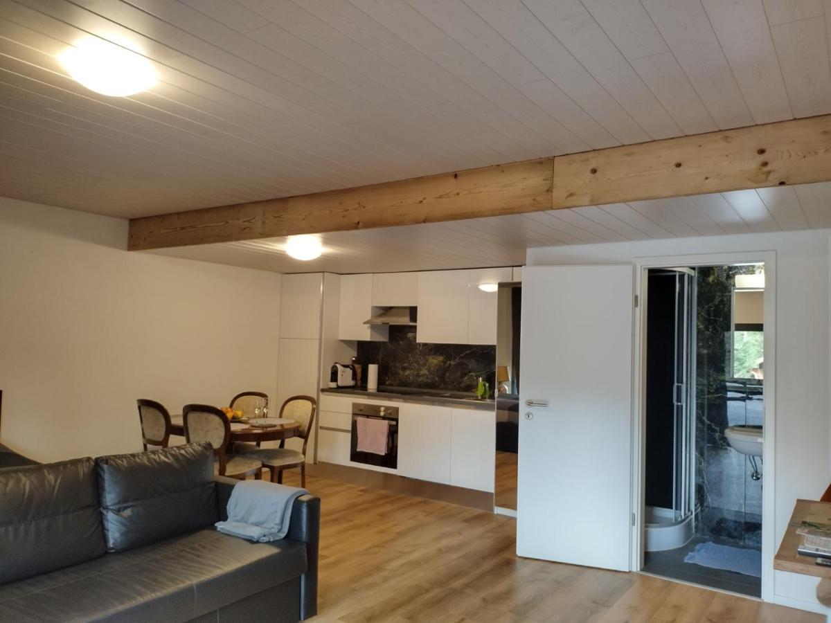 Spacieux Studio 38M2 Les Paccots Exteriör bild